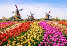Why Study in Holland?