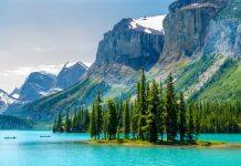 What drew you to Study in Canada?