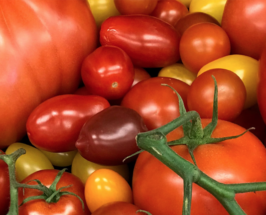 Study Reveals DNA Secrets of 100 Tomato Types