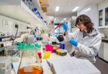 Unravelling the biomolecular secrets of bacteria