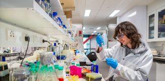 Unravelling the biomolecular secrets of bacteria