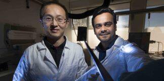 New organic material unlocks faster electronic devices