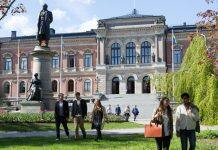 Unexpected associations found between drug response and cell changes in brain cancer