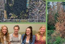 TWU researchers Find Ways To Protect Burnaby’s Central Park From Climate Change