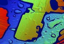 Local artists receive grants for City of Culture 2021 projects