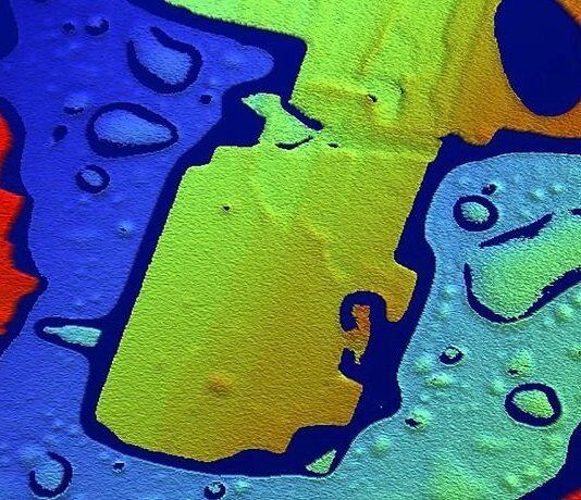 Local artists receive grants for City of Culture 2021 projects