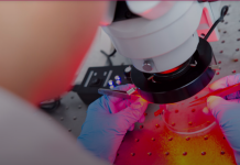 CityU secures HK$23m funding from two RGC Research Fellow Schemes