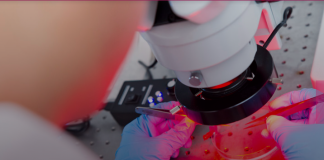 CityU secures HK$23m funding from two RGC Research Fellow Schemes