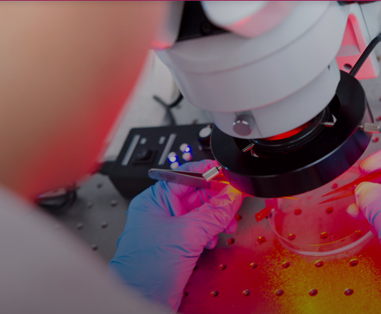 CityU secures HK$23m funding from two RGC Research Fellow Schemes