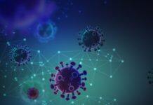 The Novel Coronavirus: Facts and Fictions