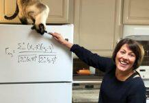 Stanford Teaching Commons offers new resources for online learning