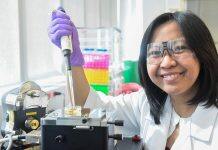 Nanoparticles show promise in defeating antibiotic-resistant bacteria, U of T researchers find