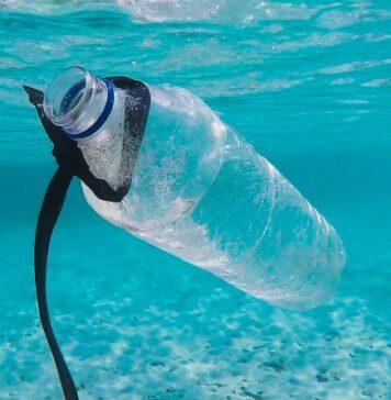 Science Gallery Dublin brings PLASTIC to Donegal