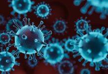 Preventing virus spread within households could be key to controlling new outbreaks of COVID-19