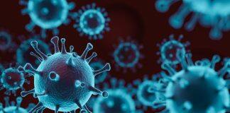 Preventing virus spread within households could be key to controlling new outbreaks of COVID-19