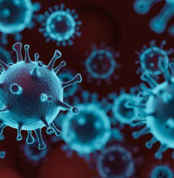 Preventing virus spread within households could be key to controlling new outbreaks of COVID-19