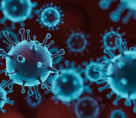 Preventing virus spread within households could be key to controlling new outbreaks of COVID-19