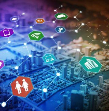 Social Innovation Scholarship 2020: meet the winners!