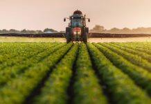 Weeding out invasive species to protect our food