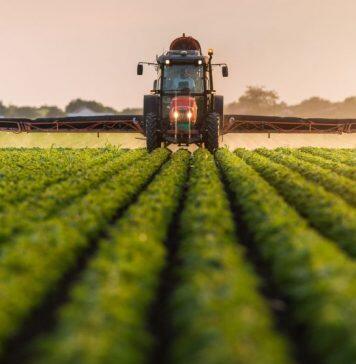 Weeding out invasive species to protect our food