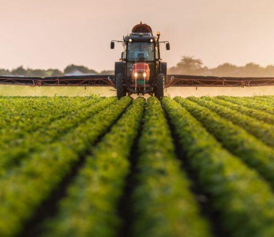 Weeding out invasive species to protect our food