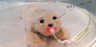 Robot hygiene important too