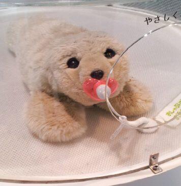 Robot hygiene important too