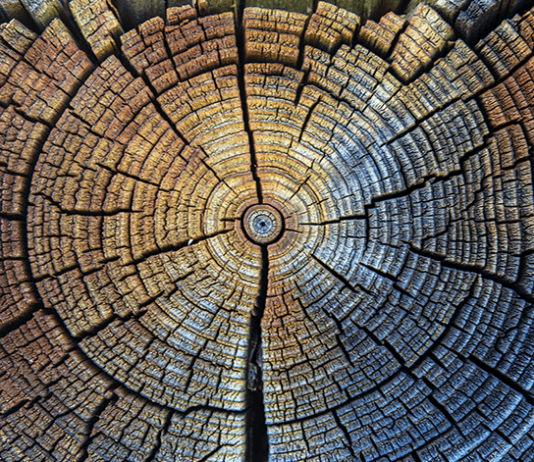 Researchers unlock secrets of the past with new international carbon dating standard