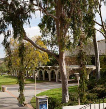 UC Riverside named No. 15 public university