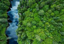 A green recovery does not need capitalism to thrive, says Concordia researcher