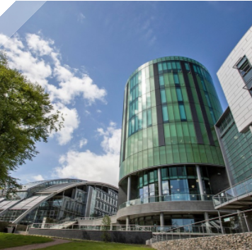 A university’s approach to supporting business recovery