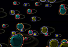 Why there is no speed limit in the superfluid universe