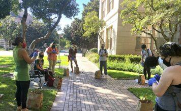 From L.A. to Taiwan, USC students hunt down insects to better understand ecology