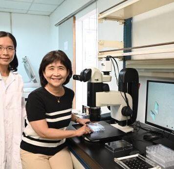 NTHU Research Team Unveils Ray of Hope for Improving Dementia Treatment
