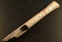 Radiocarbon dating and CT scans reveal Bronze Age tradition of keeping human remains