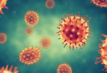 Belgian COVID-19 patient re-infected only three months after the initial infection