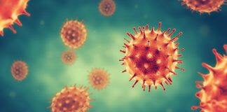 Belgian COVID-19 patient re-infected only three months after the initial infection