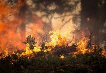 New research strengthens evidence for climate change increasing risk of wildfires