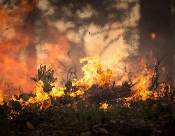 New research strengthens evidence for climate change increasing risk of wildfires