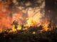 New research strengthens evidence for climate change increasing risk of wildfires