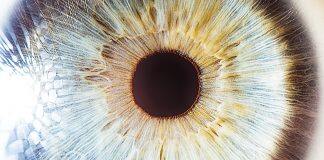 Scientists create artificial human retinas