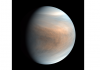 Hints of life on Venus