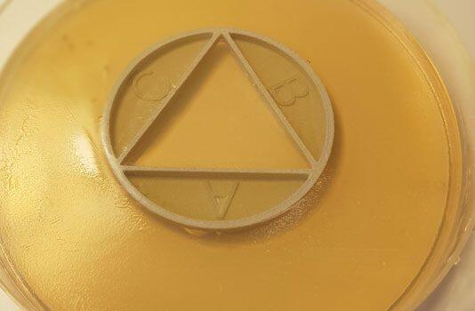 New high-speed test shows how antibiotics combine to kill bacteria