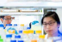 UBC researchers play pivotal role in confronting COVID-19