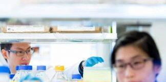 UBC researchers play pivotal role in confronting COVID-19