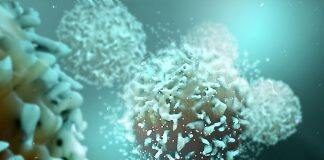 Improving the efficacy of cellular therapies