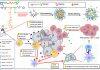 Nanoparticle-enhanced chemo-immunotherapy to trigger robust antitumor immunity