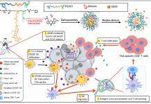 Nanoparticle-enhanced chemo-immunotherapy to trigger robust antitumor immunity