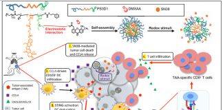 Nanoparticle-enhanced chemo-immunotherapy to trigger robust antitumor immunity