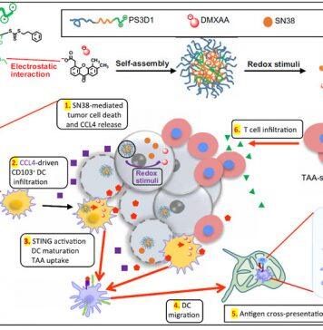 Nanoparticle-enhanced chemo-immunotherapy to trigger robust antitumor immunity